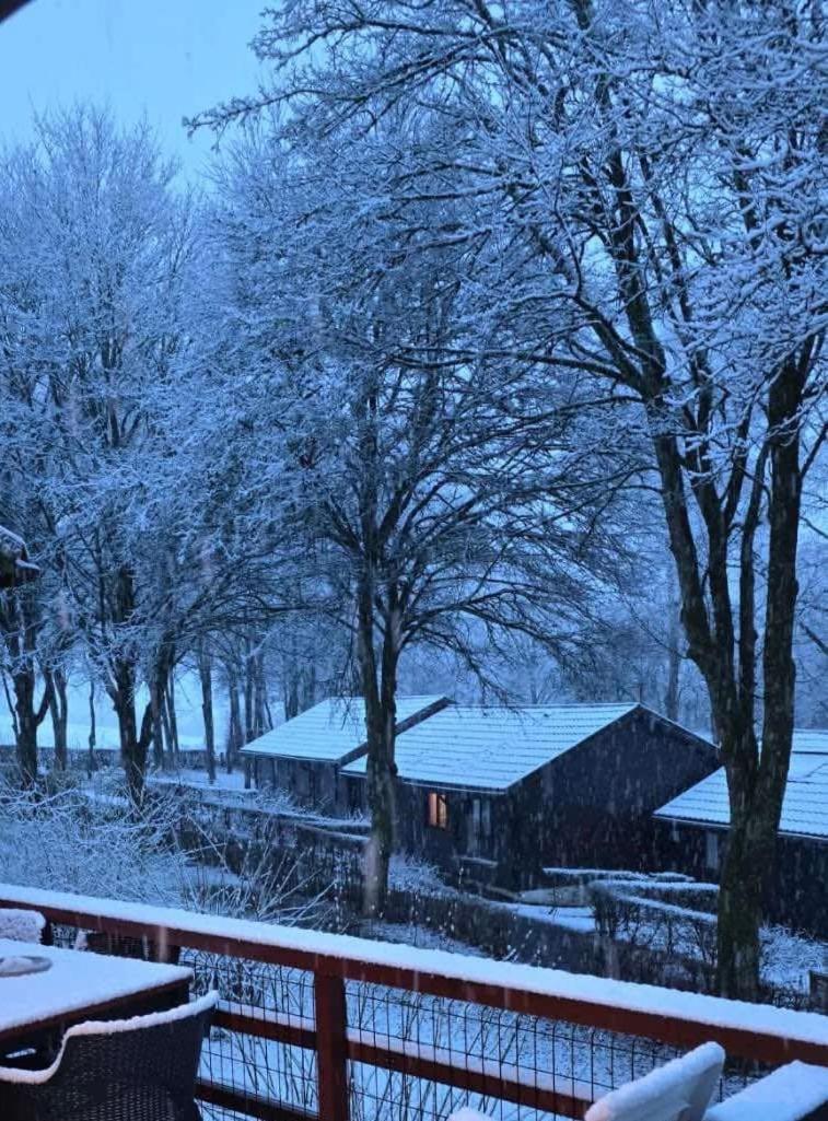 Chalet 9 La Boverie Rendeux 외부 사진