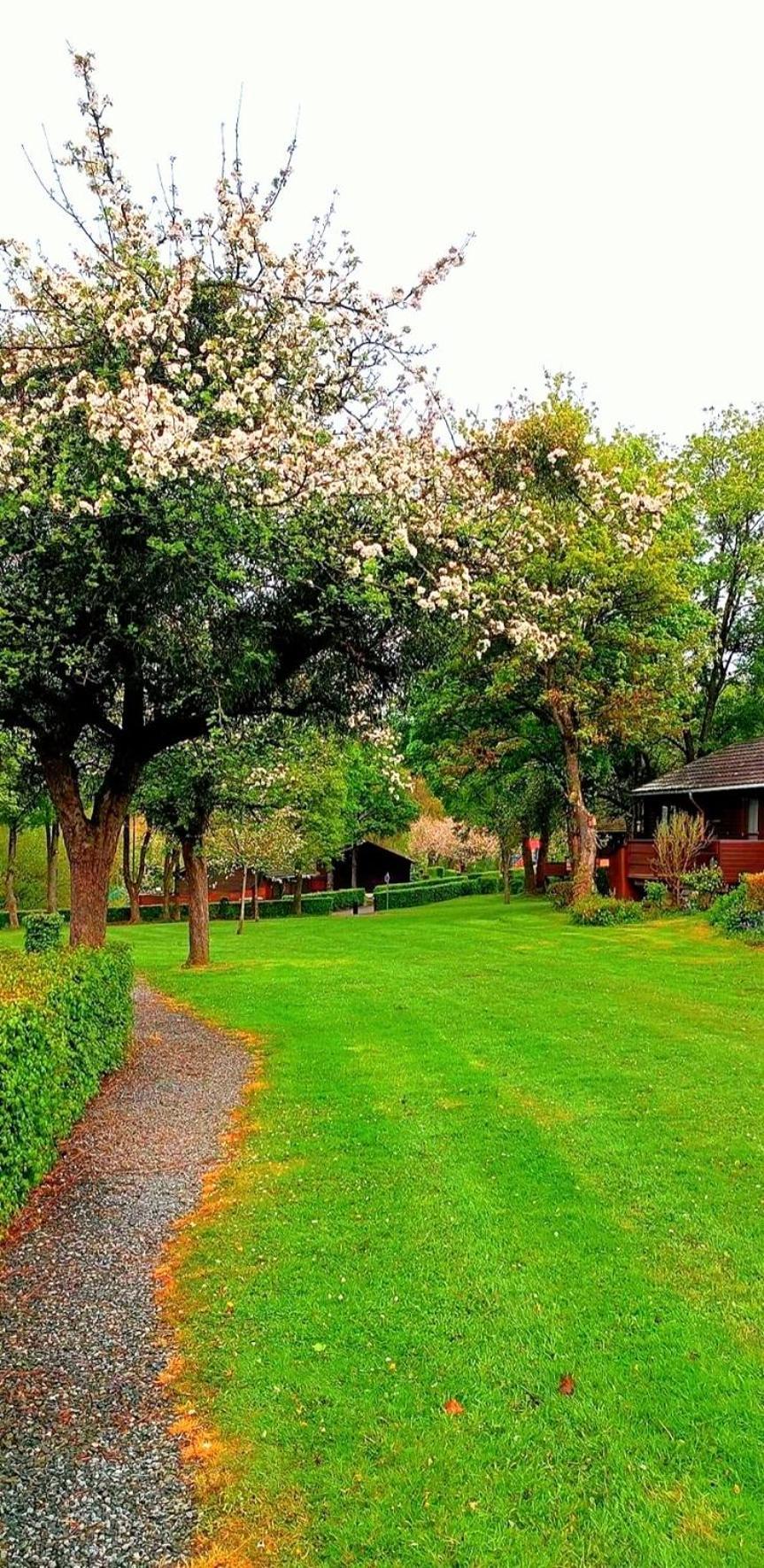 Chalet 9 La Boverie Rendeux 외부 사진